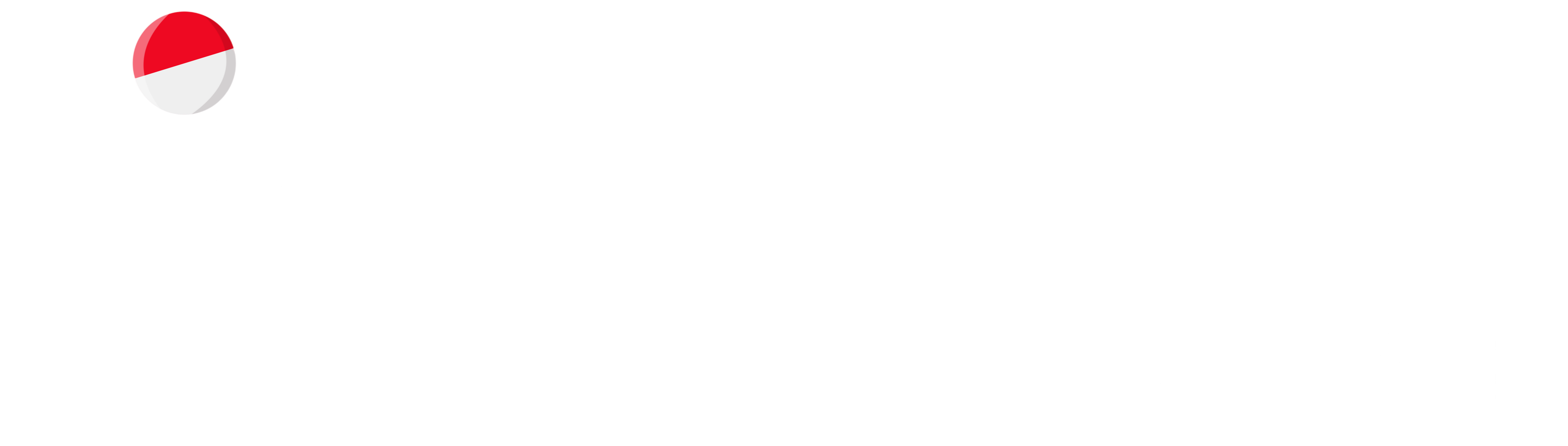 logo Learn Indonesians